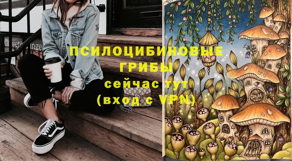 2c-b Беломорск