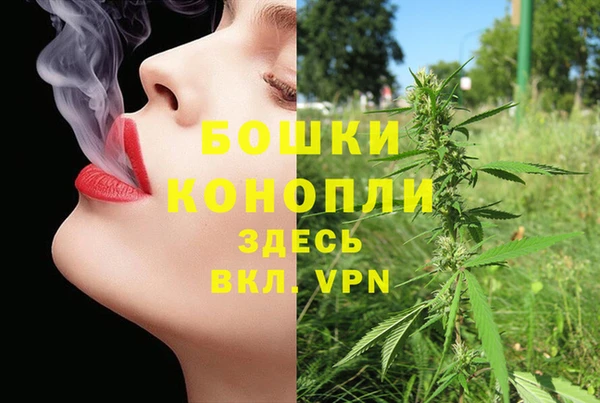 стаф Белокуриха