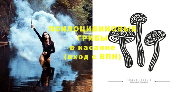 стаф Белокуриха