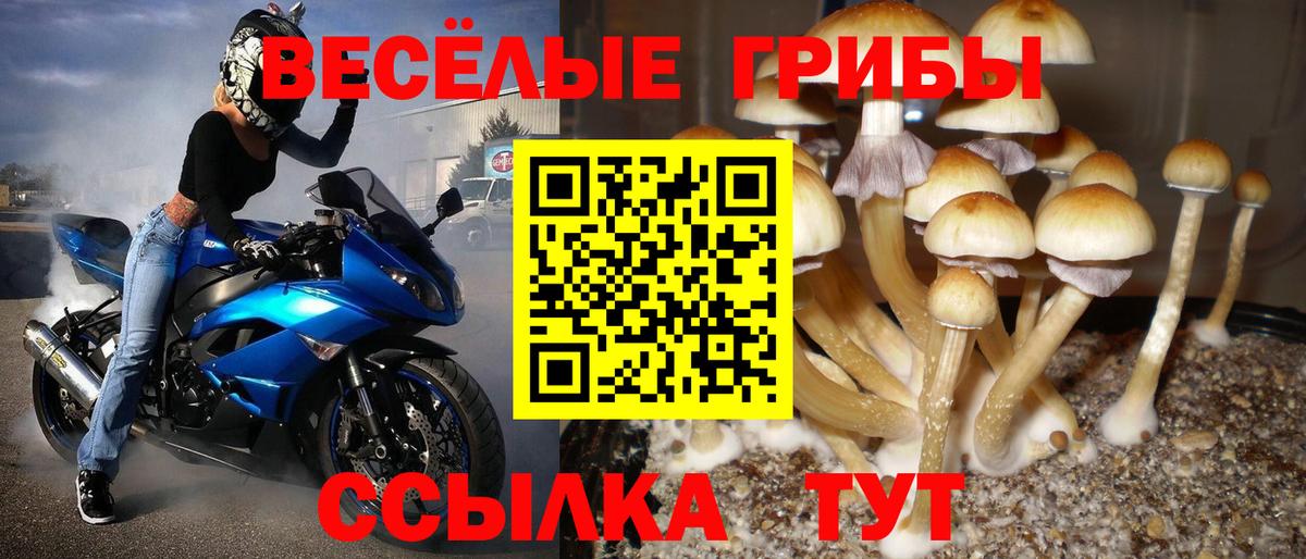 Molly  Cocaine  Марки  Мяу-Мяу  Вход с VPN  Вязники  Кодеин 