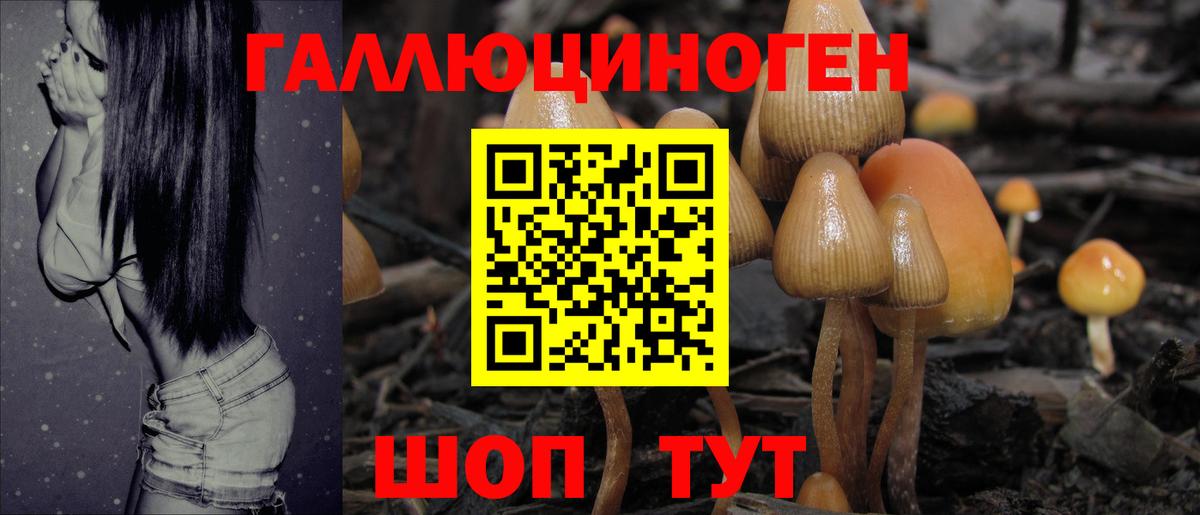 Галлюциногенные грибы ЛСД Вязники