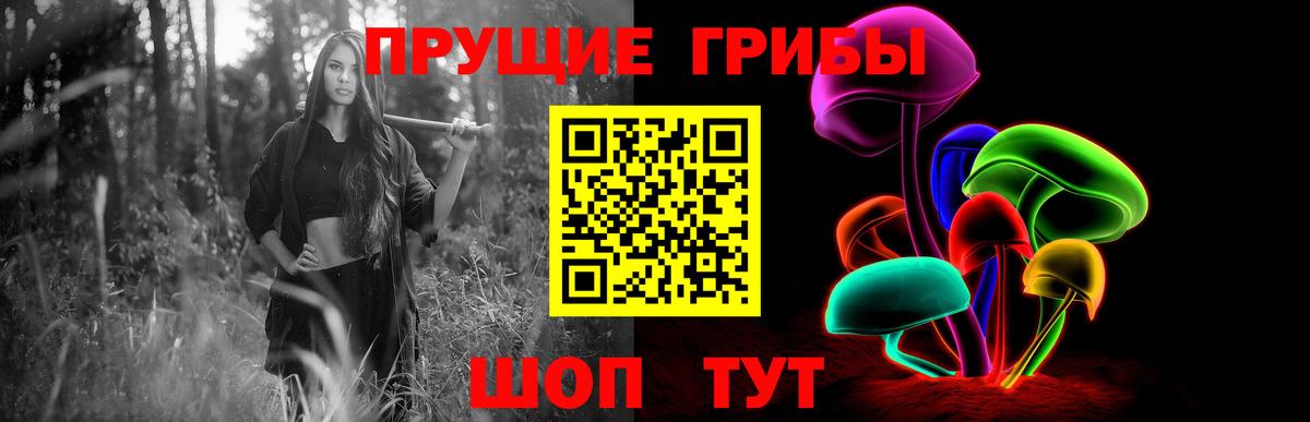Вязники  Галлюциногенные грибы Psilocybine cubensis  Вход с VPN 