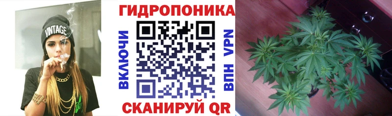 Канабис MAZAR  закладка  МЕГА зеркало  Вязники 